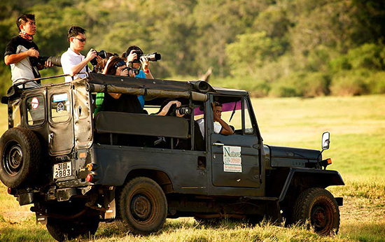 Safari-Tour-at-Yala-National-Park