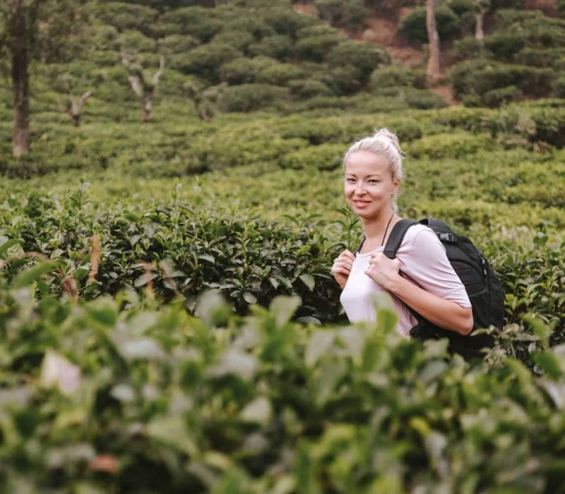 Tea-plantation-regions-in-Sri-Lanka-2